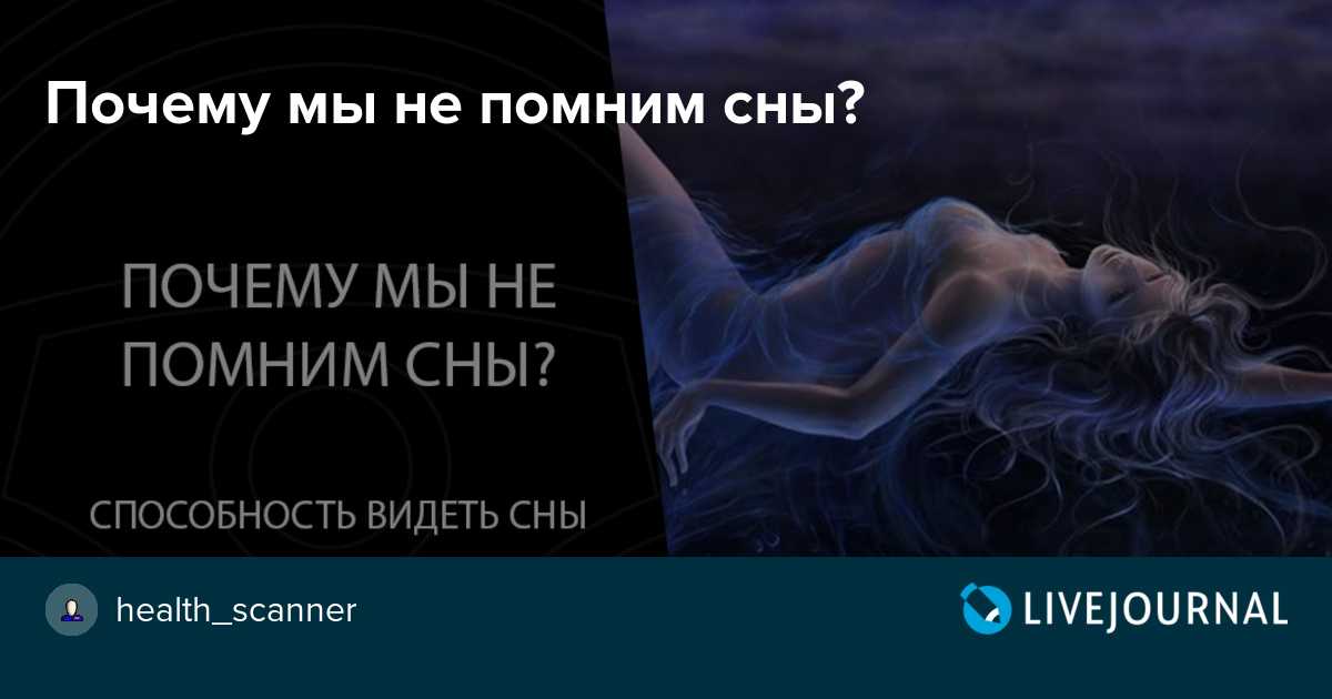 Книга иова