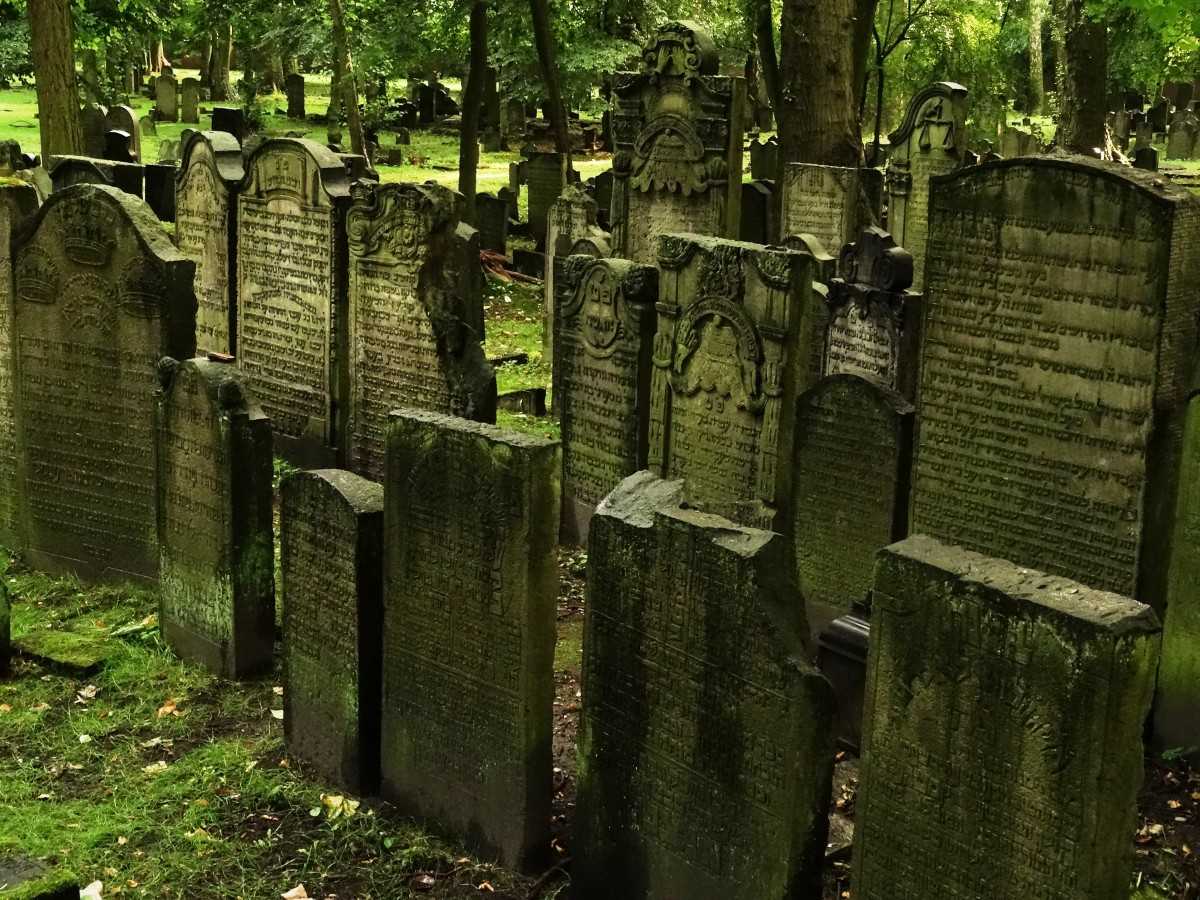 К чему снится кладбище во сне для женщины — могилы и покойники