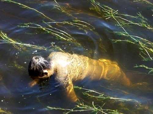 Сонник: тонущий в воде ребенок - к чему снится сон, что утонул свой сын?