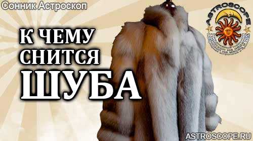 К чему снится шуба: что означает покупать ее, носить, подарить, примерять, значение длинной одежды из натурального меха