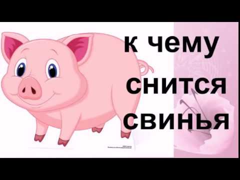 К чему снится свиная голова: сонник для женщин и мужчин
