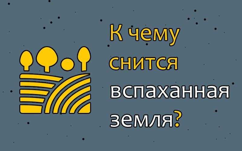К чему снится поле - толкование сна. приснилась вспаханная земля - толкование сна сонникам