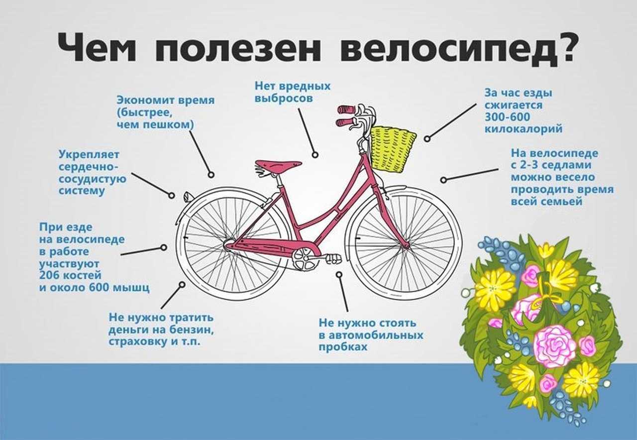 К чему снится, что еду на велосипеде — по дороге вдвоем и в гору