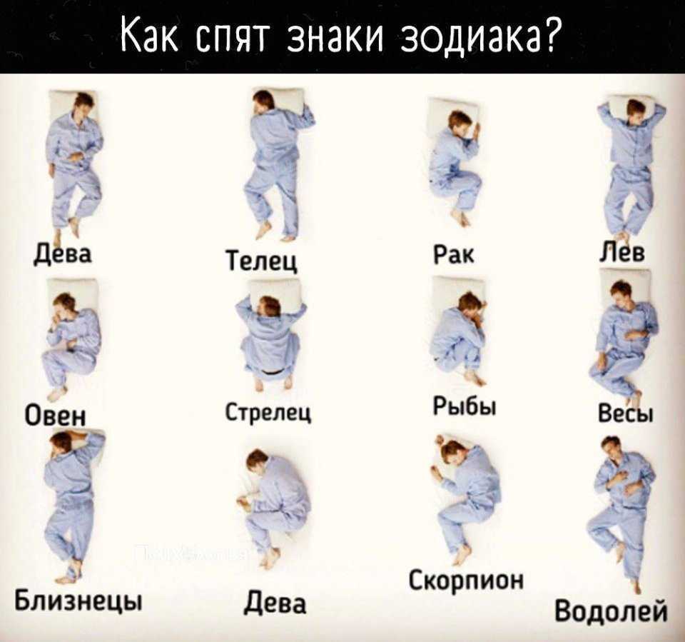К чему снится кошка во сне женщине: 20 популярных толкований