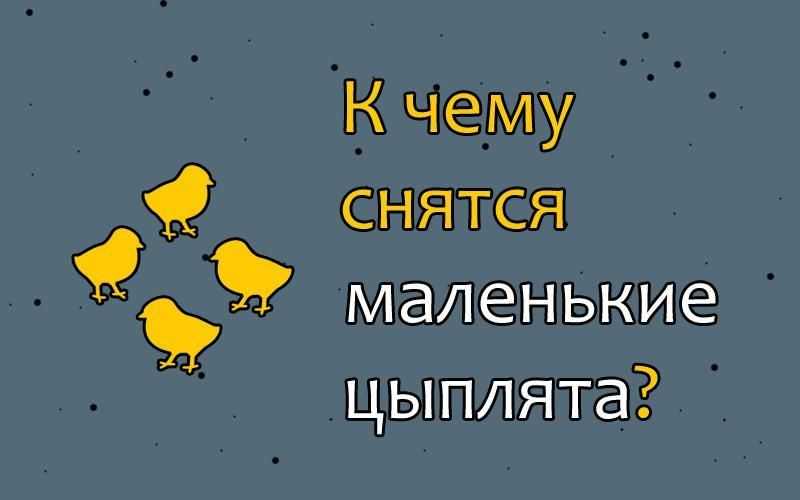 К чему снятся куры и цыплята: значение и толкование, что предвещает, чего ожидать - tolksnov.ru