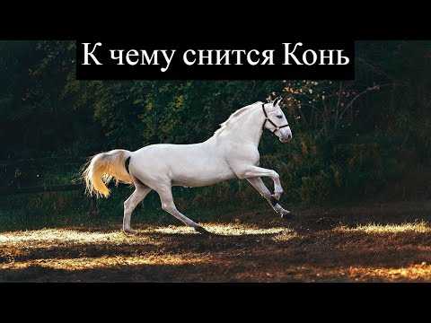 К чему снится лошадь женщине: значение и толкование сна