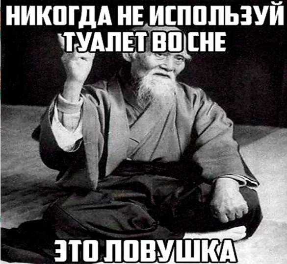 Во сне ходить в туалет по большому на сайте сонник гуру