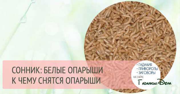 К чему снится червяк из тела вытаскивать его, белые черви сонник, черви в человеке