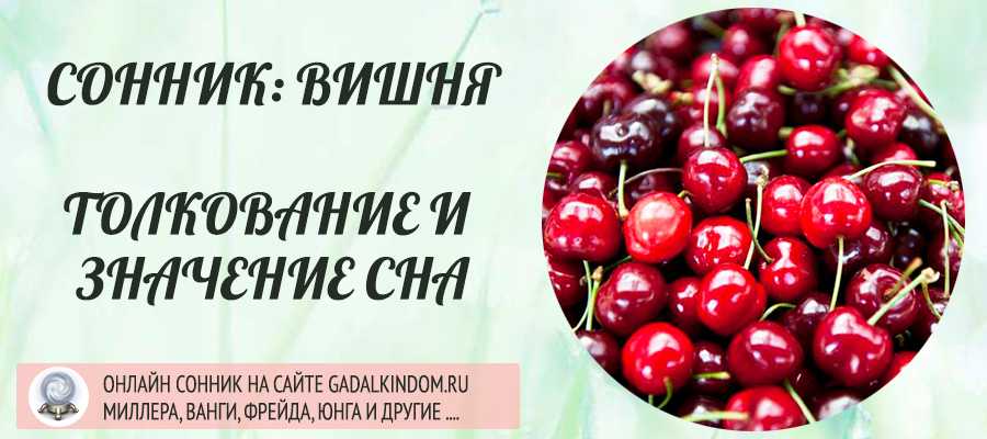 Сонник вишня - к чему снится вишня приснилась во сне