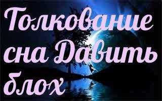 К чему снятся большие и мелкие вши на другом человеке