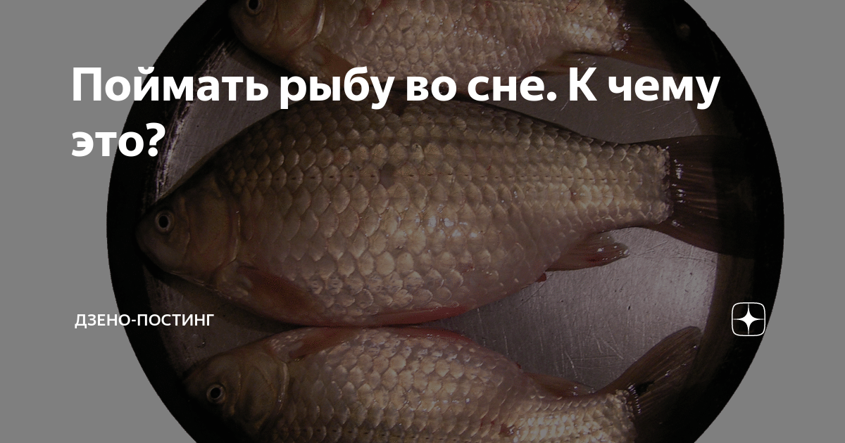 Тухлая рыба