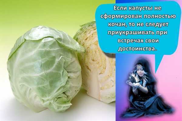 К чему снится капуста? толкование по 56 сонникам
