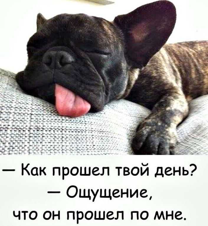 Мемы про сон детей