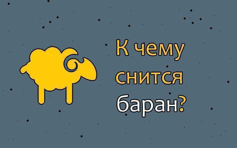 Magiachisel.ru: сонник.что означает когда снится овца. к чему снится овца. видеть это во сне.