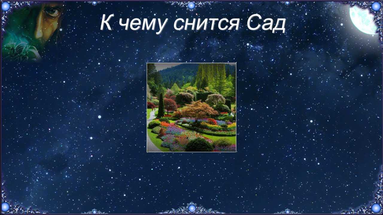 К чему снится земля: значение в зависимости от дня недели, по миллеру и другим толкователям