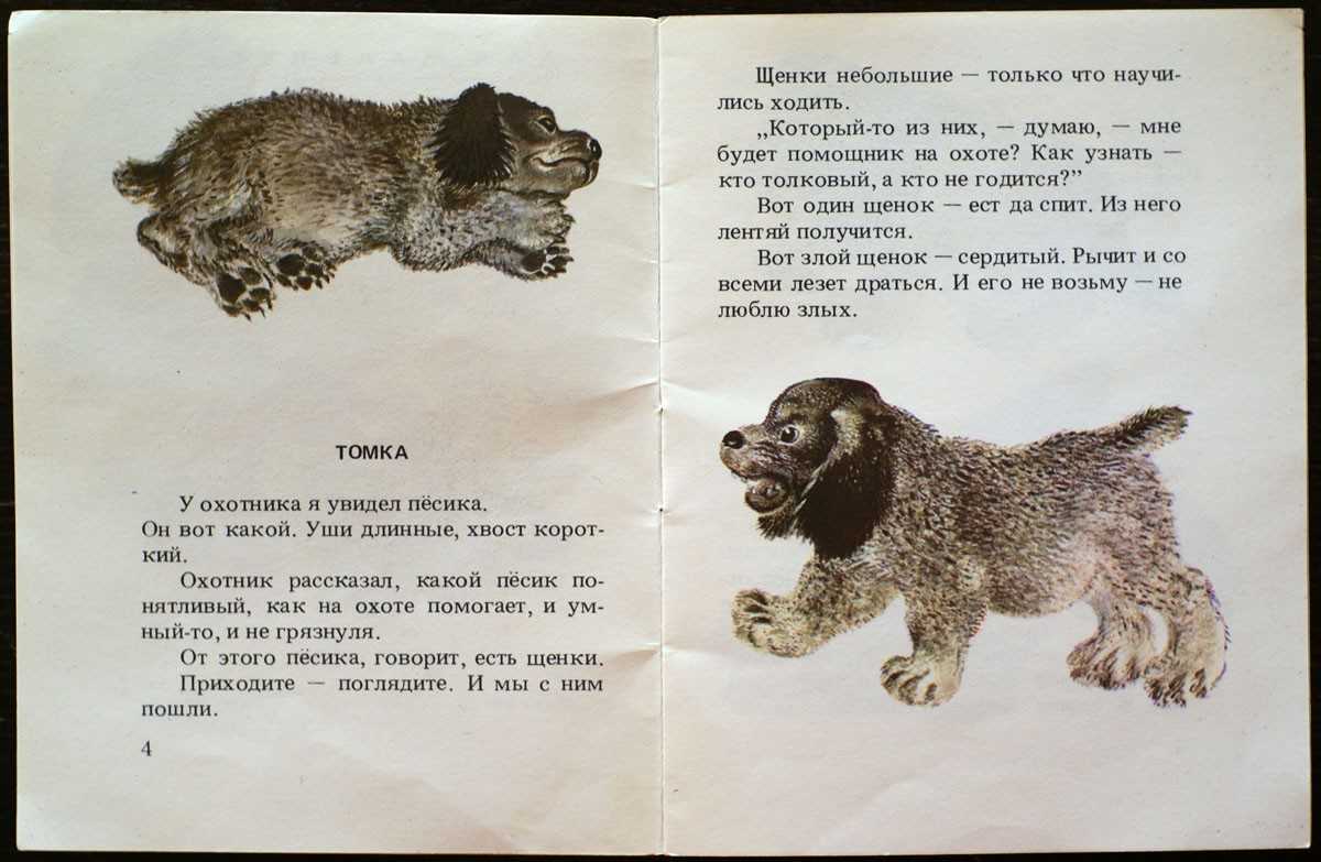 Про что рассказ томкины сны