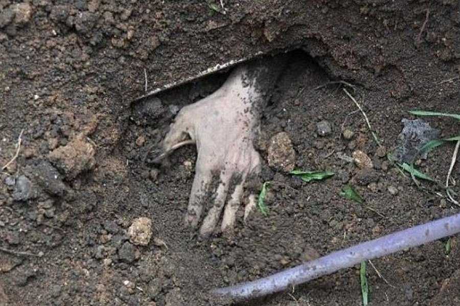 Сонник труп к чему снится во сне? видеть труп что означает?