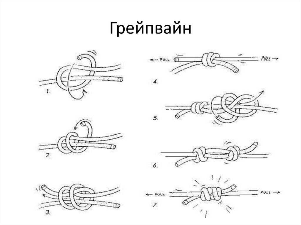 Путешествие к бессмертию: бессмертный мир глава 473: борьба за домен