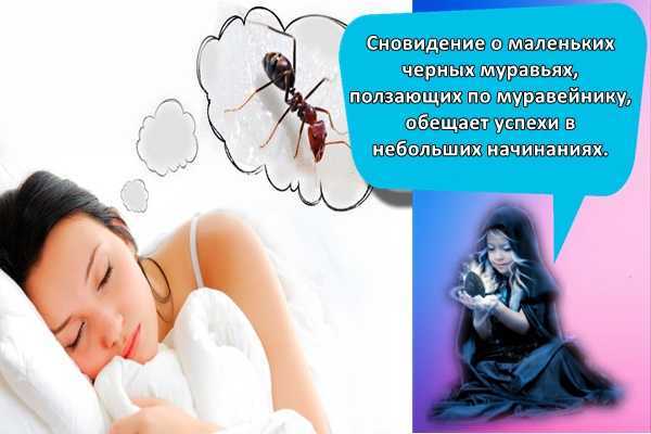 К чему снятся тараканы мужчине: что это значит, в квартире, на теле, маленькие, большие, летающие