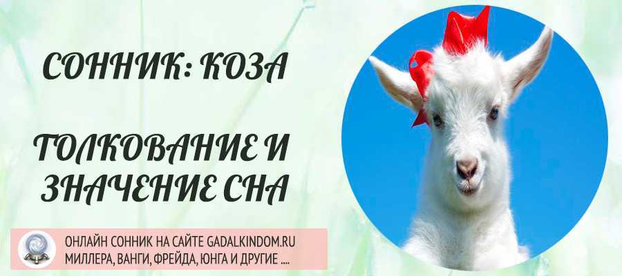К чему снится коза белая 🐐 - топ 30 толкований сна 🌛 для мужчины и женщины по сонникам: что означает доить ее, приснилась козочка с одним рогом, с молоком и козлятами