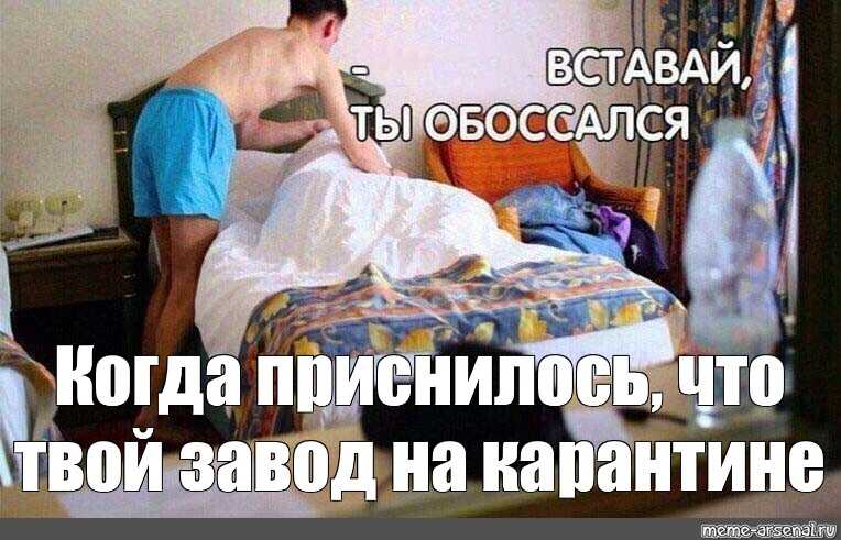 К чему снится кал