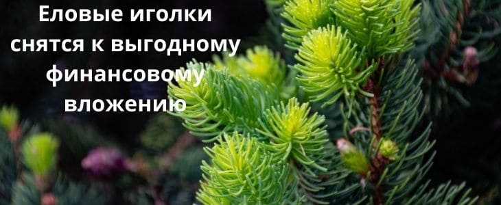 Примета: к чему ломается иголка в руках при шитье, найти ее в доме, потерять