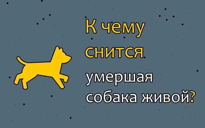 Собака издавна является верным другом человека, поэтому сновидения с умершим питомцем часто трактуется как предзнаменование неприятностей, скандалов или