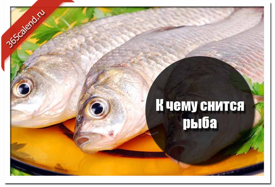 Соленая рыба во сне – к слезам или к деньгам