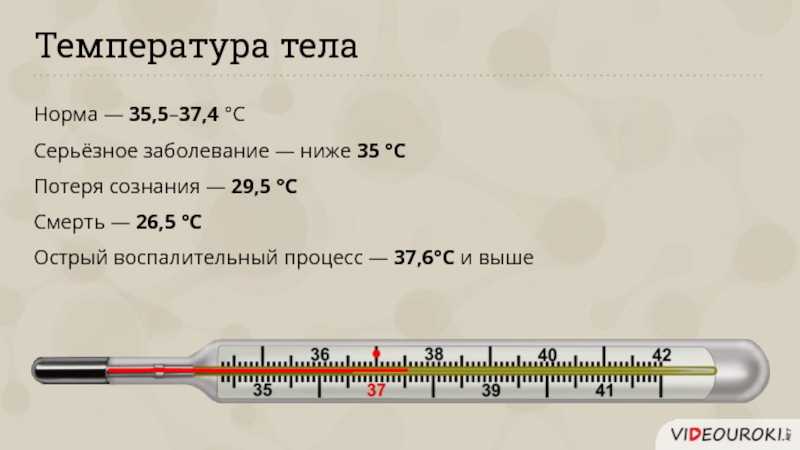 Почему во время сна поднимается температура тела 2024