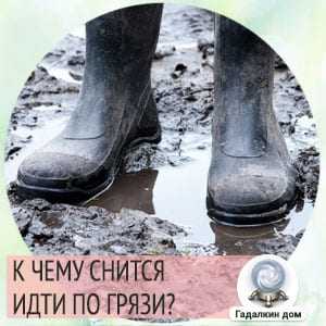 Аварии во сне: к чему снится авария на машине без моего участия и другие виды аварийных ситуаций, толкование