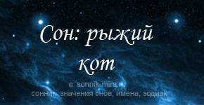 К чему снится трехцветная кошка: действия питомца во сне, толкование по соннику для замужней женщины