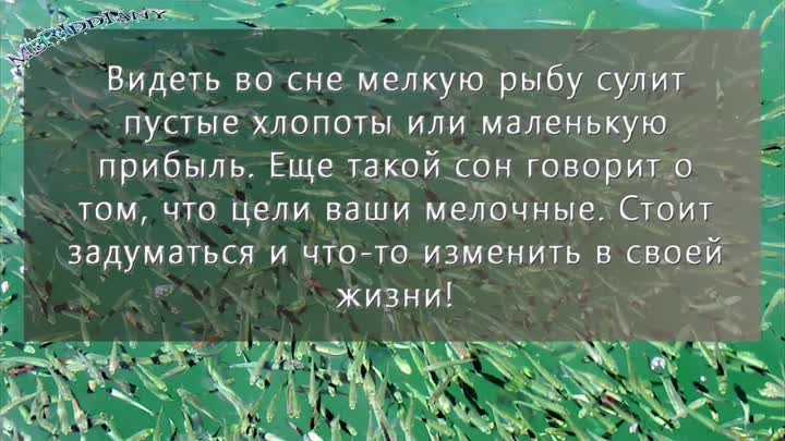 Ловить рыбу во сне - 15 толкований сна с учетом деталей - сонник: ловить рыбу