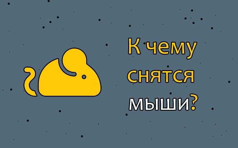 К чему снятся мыши: много маленьких серых, белые, кот и мышки