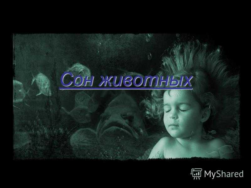 Человек проводит во сне. нетрудно подсчитать, что треть своей жизни человек проводит во сне