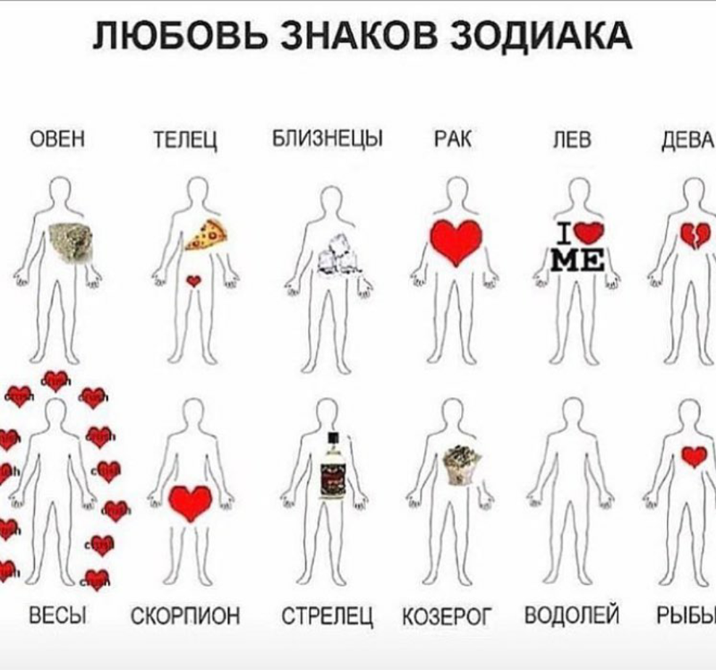 К чему снятся коты женщине: трактование сновидений в сонниках, значение снов с рыжими котиками для девушки