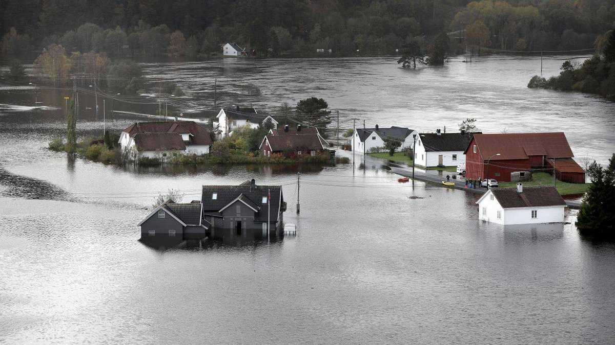 К чему снится вода в огороде? интерпретация сновидений