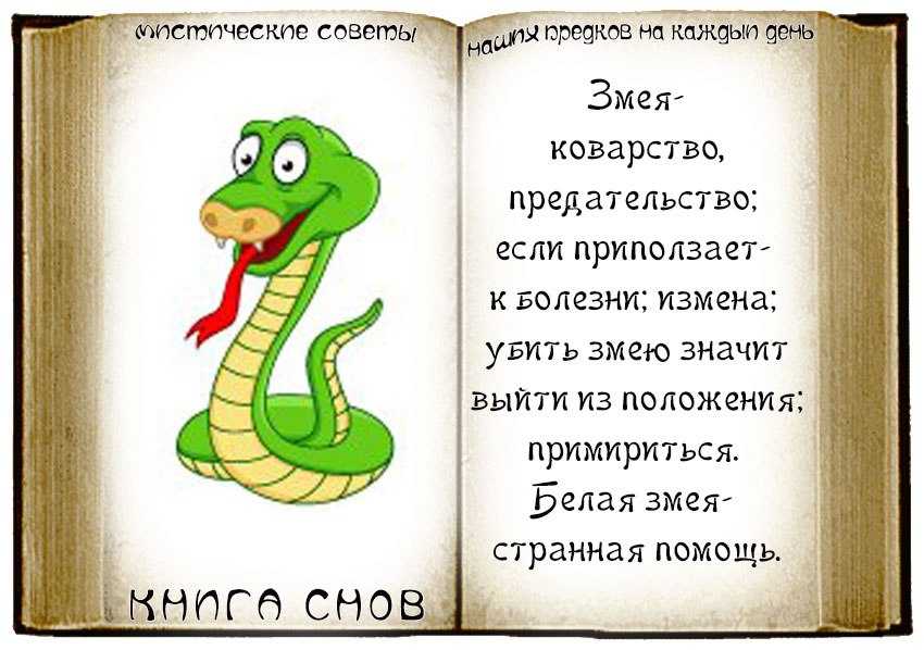 К чему снится змея во сне женщине?