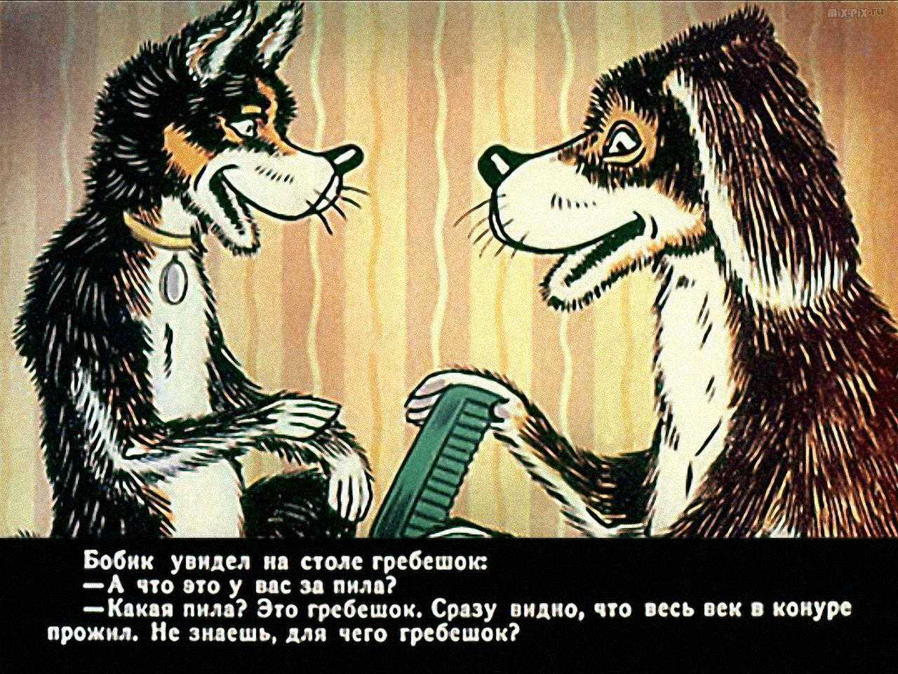 Почему собака самое преданное существо: основные причины