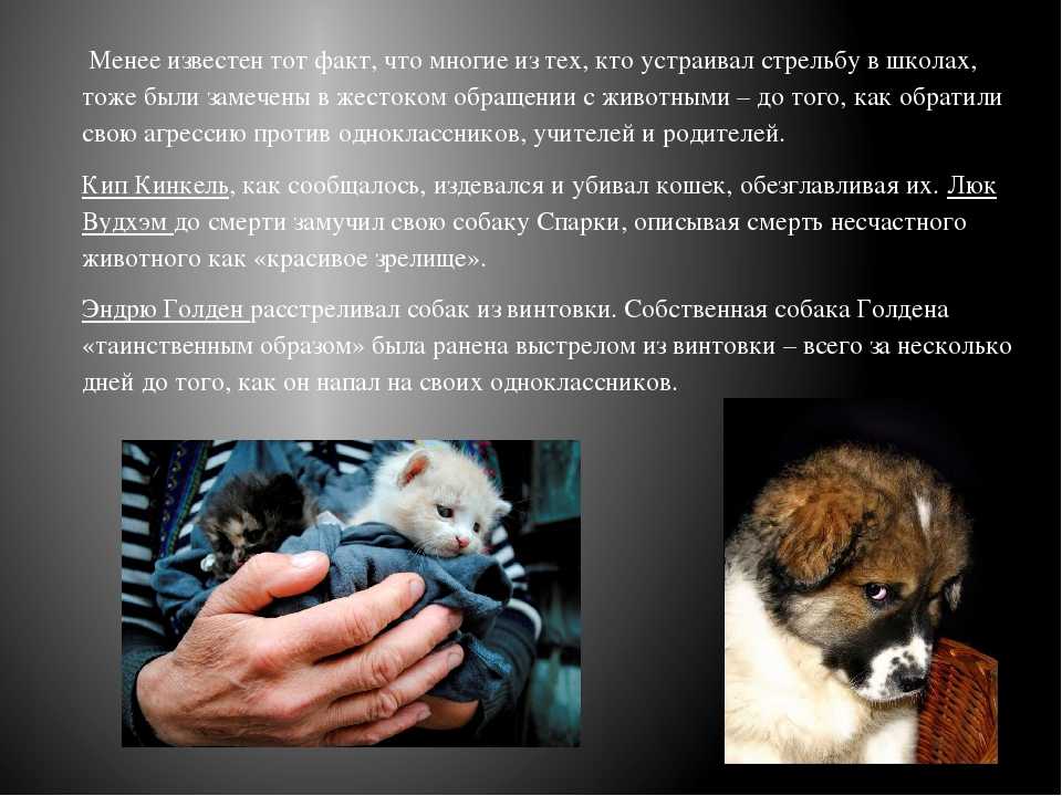 Видеть во сне трупы животных
