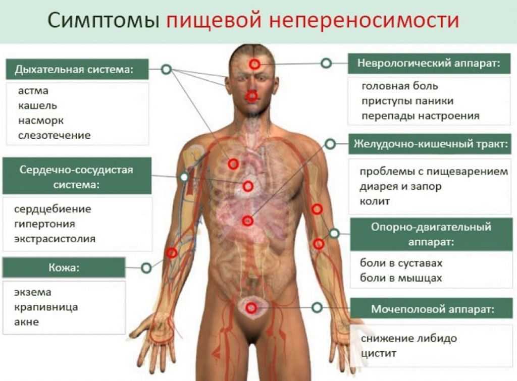 Аллергия у взрослых: симптомы, признаки, причины, лечение