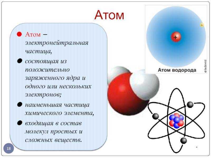 Тест по теме углеводы 2 вариант. тесты по биологии белки.жиры.углеводы