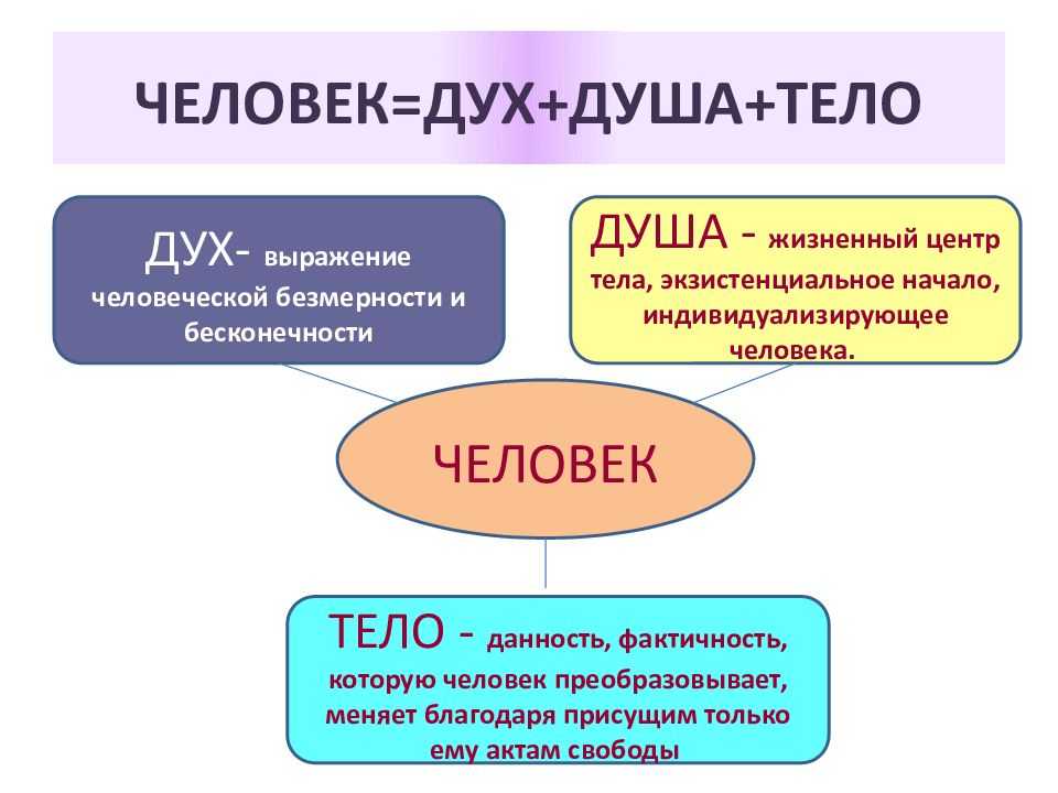 Душа - что это. подробно о душе человека | тайное знание