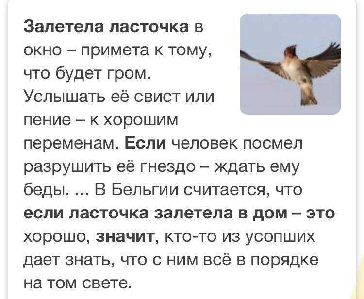 К чему снятся чужие люди в доме: что об этом говорят сонники миллера, ванги, нострадамуса и других. толкование снов о чужих людях - автор екатерина данилова - журнал женское мнение