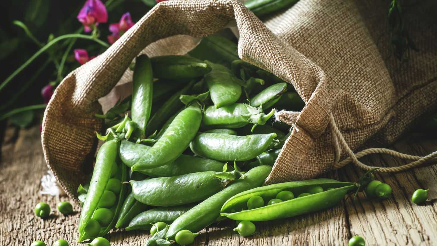 К чему снится каша с мясом. к чему снится есть кашу во сне по соннику? значение для разных людей