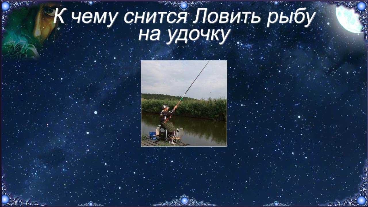 Толкование сонника: к чему мужчине снится рыба?