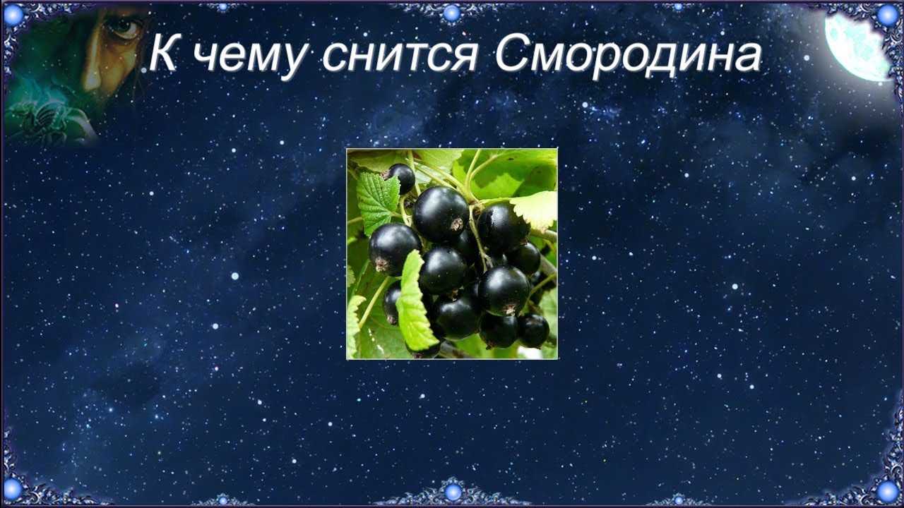 К чему снятся ягоды