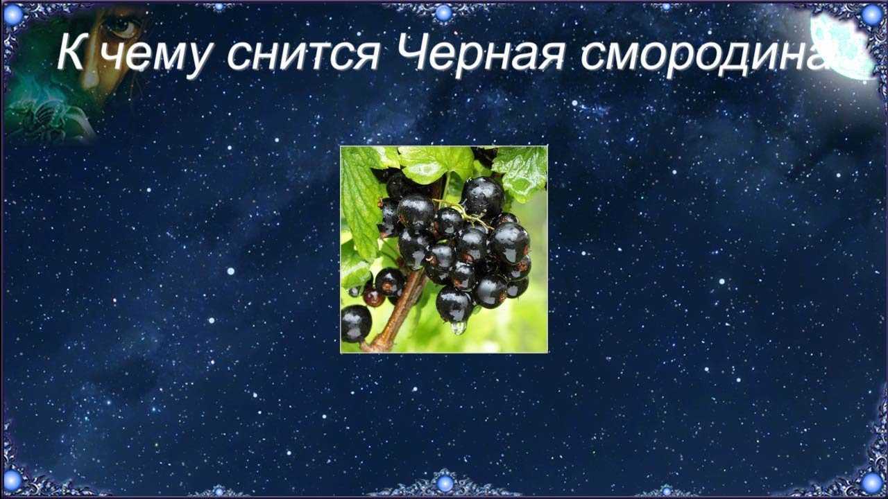 ᐉ есть черные ягоды во сне сонник - x-sonnik.ru