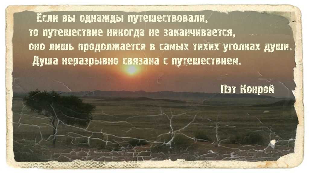 Животные по соннику
