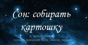 К чему снится картошка в различных вариациях и работе по выращиванию?