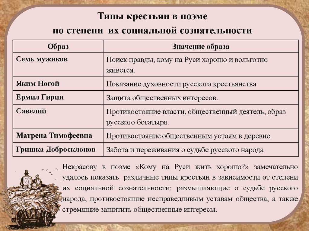 9 необычных товаров с ozon, которые избавят вас от хандры и развеселят гостей | ozon | промостраницы